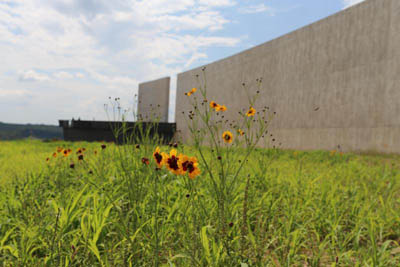 Image of Flight 93 National Memorial